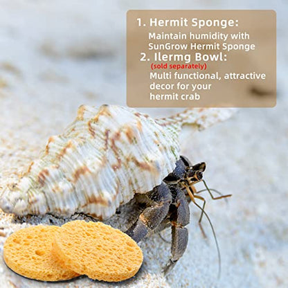 12 Pieces Hermit Crab Sea Sponges - Unbleached Supplies for Maintaining Tank Humidity - Pet Accessories Providing Nutrients