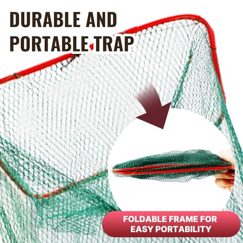 2 Pack Minnow Trap for Bait Fish Foldable Fishing Net with Dual Entrances Zippered Removal Access 2.7 Inch Openings Portable Small Fish Crawfish Shrimp Crayfish Trap for Lake Pond Fishing