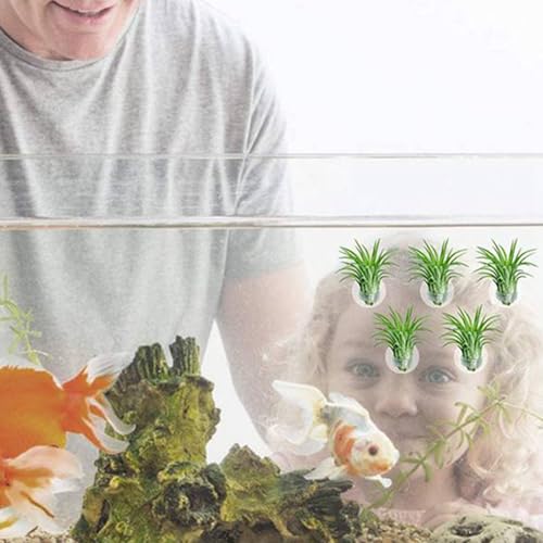 20PCS Air Plant Wall Mounts Secure Suction Base for Home Decoration Living Areas Home Greeneries and Aquarium Equipment Stand Holder Wall Mount Holder