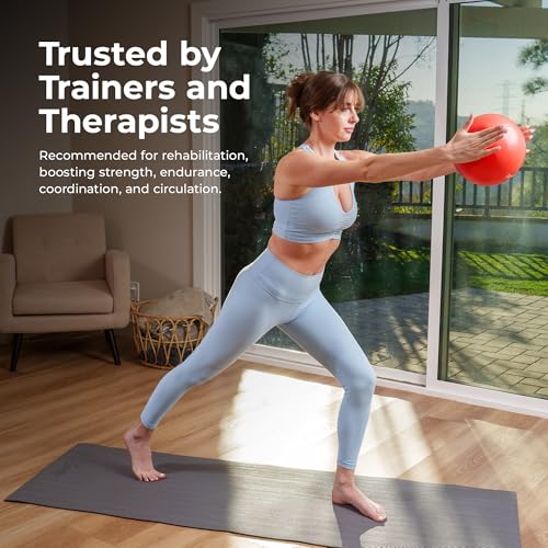Sunny Health & Fitness Premium Anti-Burst Exercise & Stability Ball - size: 9" (23cm)