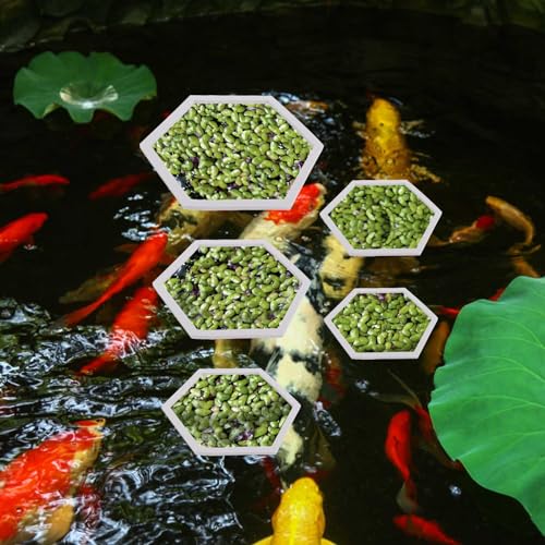 PEUTIER 5pcs Aquarium Floating Plant Corral, Foam Fish Feeding Rings Hexagon Fish Tank Food Ring for Keeping Floating Plants in Place (White)