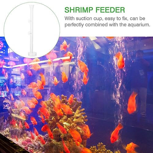 LIOOBO 1set Fish Feeder Transparent Shrimp Device for Fish Tank Multi-Functional Aquarium Supplies Box