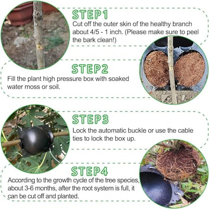 12 PCS Plant Root Growing Box, Reusable Air Layering Propagation Kit Rooting Ball Grafting Tools for Plant Propagation - size: Large