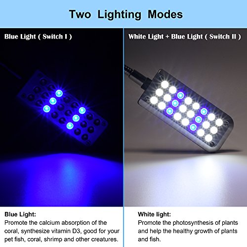 Aquarium Light Small LED Clip Light for Fish Tank, 1 Yr Warranty - size: 1.5W (Without Timer & Dimmer)