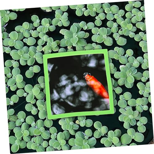 MERRYHAPY 5pcs Floating Plant for Aquariums Holders for of Aquatic Plants Easy Feeding for Fish Tanks