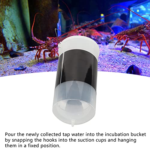 Brine Shrimp Hatchery Kit, Efficient Convenient Brine Shrimp Eggs Incubator Reusable Automatic with Regulating Valve for Shrimp Hatching