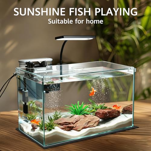 10 Gallon Glass Small Fish Tank with Filter Light and Lid, Aquarium Starter Kit - size: 10 Gallon