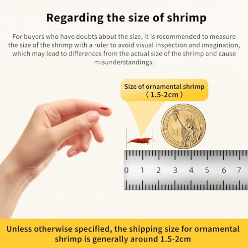 20+ Mixed Neocaridina Shrimp Assortment - Cherry, Fire Red, Blue Velvet & More |Live Freshwater Shrimp for Aquariums[10/20/30 Packs] (20)