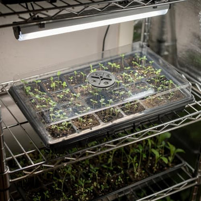 RooTrimmer 10-Pack XL Seed Starter Tray with Dome – 24 Large 2" Cells per Seedling Starter Trays (Total 240 Cells), Seed Growing Tray with Humidity Lids for Greenhouse Home Plant Propagation - color: Black and Clear, size: 10 Sets