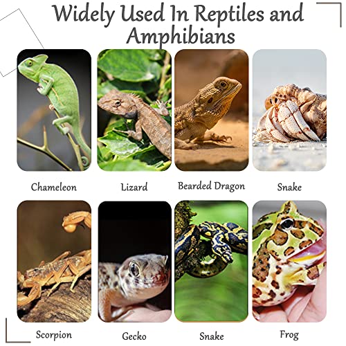 Reptile Plants Bendable Jungle Climbing Vine Terrarium Branch Flexible Plastic Leaves Hanging Pet Habitat Decoration for Bearded Dragon Lizard Gecko Frog Snake Tank Accessories Decor