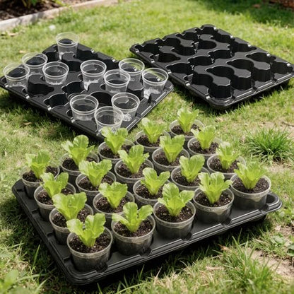 3 Inch Seed Starting Trays with Clear Nursery Pots, 2-Pack 20-Cell Seedling Starter Trays & 3" Nursery Pots 40 Pcs with Drainage, Plant Starter Germination Trays for Indoor Outdoor Growing - size: 3 Inch, style: 2 Pack Seed Starter Tray+Nursery Pots
