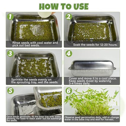 2 Pack Stainless Steel Seed Sprouter Trays, 2-Tier Soil-Free Microgreens Growing Kit, Rust-Free Sprouting Tray with Mesh Pads for Sprouts Beans Alfalfa Wheatgrass (10.6" x 7.9" x 1.9")