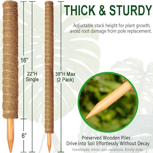 2 Pack 22 Inch Stackable Moss Pole - Thick & Sturdy Natural Coir Totem Plant Support & Garden Stakes for Monstera & Pothos, Indoor Climbing Vining Houseplants, 38" H Max - color: 2*22 inch
