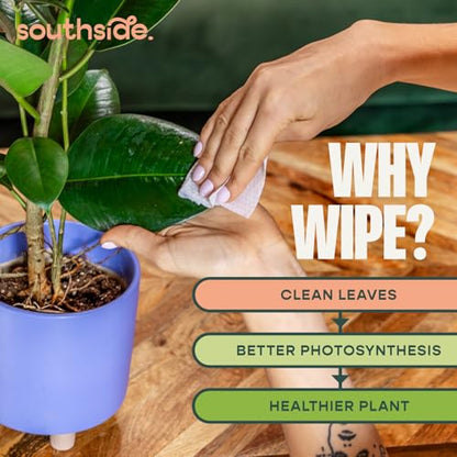Plant Cleaning Wipes by Southside Plants - Gentle, Plant-Based Wipes for Shiny Leaves and Better Photosynthesis - Unscented, Extra Thick Waffle Weave Leaf Wipe for Indoor & Outdoor Plants - 80 Ct