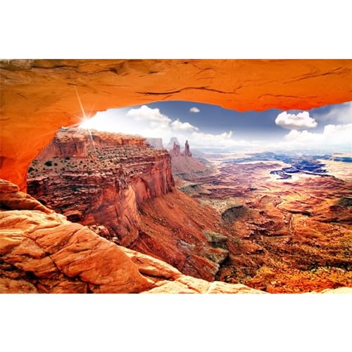 AWERT Stone Reptile Habitat Background Sky Oasis Mountain Cactus Sun and Desert Terrarium Background 72x18 inches Polyester Background - size: 72x18in/180x45cm