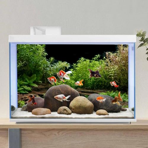 AWERT Aquarium Background River Bed & Lake Aquatic Plant Fish Tank Background Vinyl 30x12 inches - size: 30x12in/75x30cm