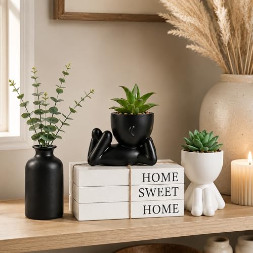 4PCS Farmhouse Home Decor Set, 3Pcs Faux Books + 2Pcs Fake Succulents Plants + 1Pcs Ceramic Vase with 5Pcs Eucalyptus Stems, for Room Shelf Table Decor Aesthetic Indoor
