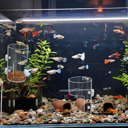 2Pcs Aquarium Fish Feeder Feeding Tray with Suction Cup, Feeding Tube Tank Divider Aquarium Breeder Box Fish Bowls Accessories Round for Turtle Shrimp Supplies Round - color: 2Pcs