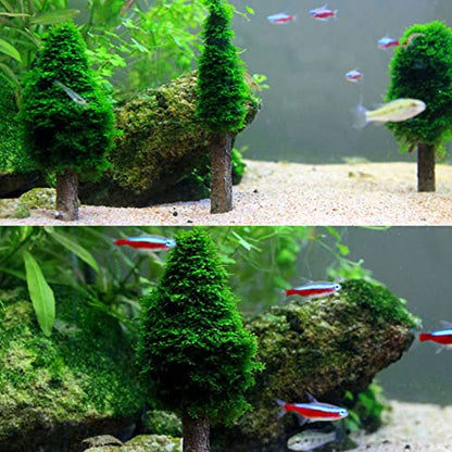 Aquatic Moss Holder Aquarium for Live Grass Bracket Fish for Decor Accessories 5.1in
