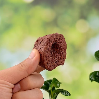 Ceramic 3PCS Aquatic Water Plant Fixed Rings Pottery Plant Pot Ring for Fish Tank Accessories