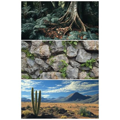 3 Pack Terrarium Background, 48x24 inches Polyester Reptile Background, Cloth Terrarium Background, Tropical Green Tree Fern & Gobi Desert Sunshine Cactus Rock Terrarium Background - size: 48x24 Inch