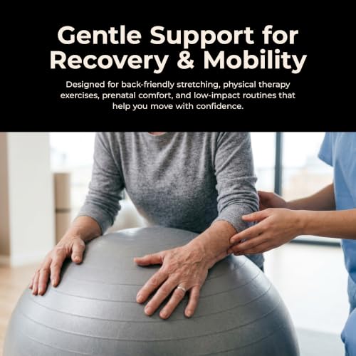 Sunny Health & Fitness Premium Anti-Burst Exercise & Stability Ball - size: 17.7" (45cm)
