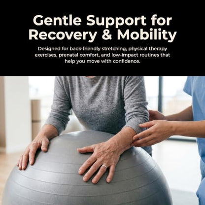 Sunny Health & Fitness Premium Anti-Burst Exercise & Stability Ball - size: 29.5" (75cm)