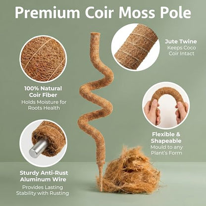 30 Inches Bendable 2 Pack Moss Pole Monstera Plant Support Stakes - Moss Poles for Climbing Plants, Plant Stakes for Indoor Plants - Coco Coir Pole Moss Stick for Monstera, Pothos.