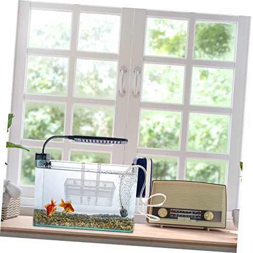 BESPORTBLE Fish Breeding Box Aquarium Separation Container Cups Isolation Box for Hatching Healthy Environment for Pregnant Fish
