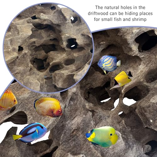 Natural Driftwood for Aquarium Decor 12 PCS Fish Tank Wood with Small Holey Aquarium Wood Aquascaping for Shrimp Betta Hermit Crab and Butterfly Fish - size: XS:3-6 inches-12pcs