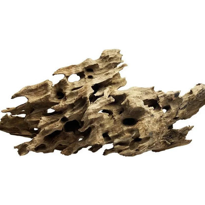 Fish Tank Natural Porous Wood Driftwood Ornament for Aquarium Decoration Hermit Crabs Shrimp Fish Aquarium Accessories… (10-15cm)