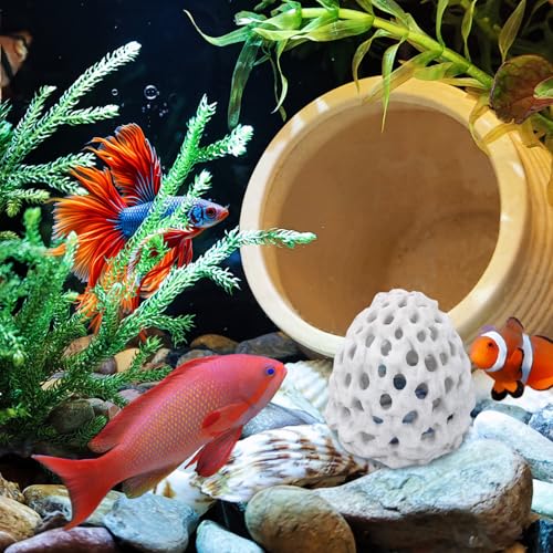 Shrimp Dome Hide with Suction Cup - Ideal Aquarium Ornament for Shrimp, Guppy & Betta Fish Hiding and Resting White