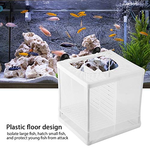 GLOGLOW Nan Aquarium Breeder, Quality Plastic Isolation Mesh Box, Easy Installation Fish Breeding Net 16x16x14cm for Fish Breeding and Sample Division Aquaculture Hatching Supplies