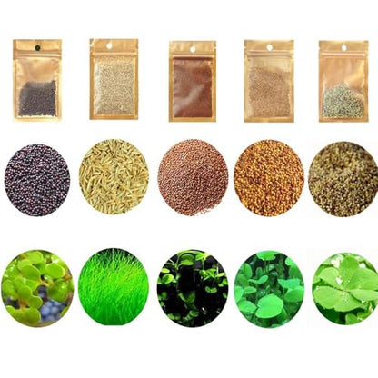 5 Aquarium Plants S.e.e.d Set, not Artifical, Fish Tank Decor Replacement for Resin or Plastic Grass