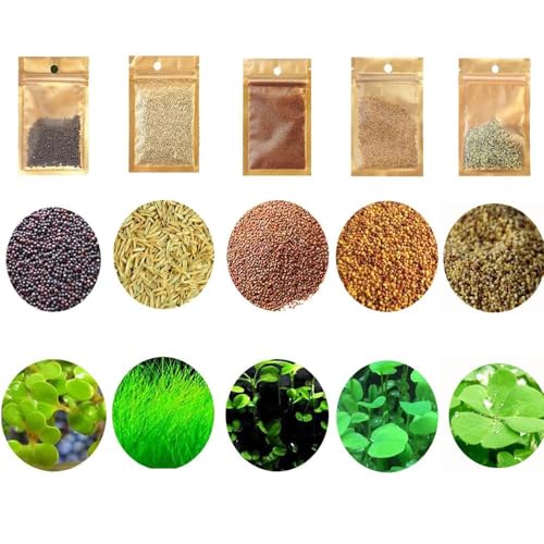 5 Aquarium Plants S.e.e.d Set, not Artifical, Fish Tank Decor Replacement for Resin or Plastic Grass