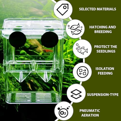 Breeder Box for Fish Tank 2 Compartment Fish Isolation Box for Aquarium with Suction Cup & Feeding Port Transparent Plastic Breeding for Baby, Shrimps
