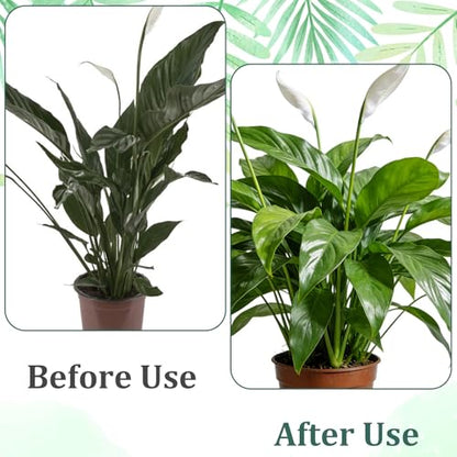 5Pcs Garden Plant Support Stakes for Indoor Outdoor Plants, Stackable Monstera Plant Support Stakes, ClimbingPlant Supports StructuresPlant Holder Stick Moss Pole for Tall Potted Plants