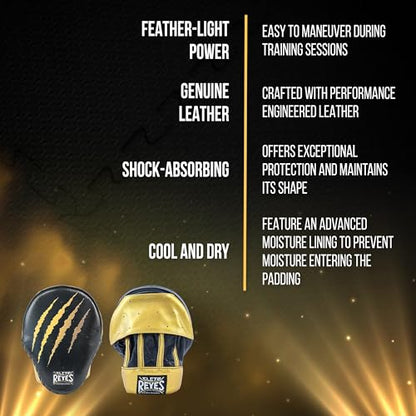 CLETO REYES Boxing Punching Mitts, Focus Sparring Striking Training Punch Pads, MMA, Kickboxing, Muay Thai, Leather - style: Tiger