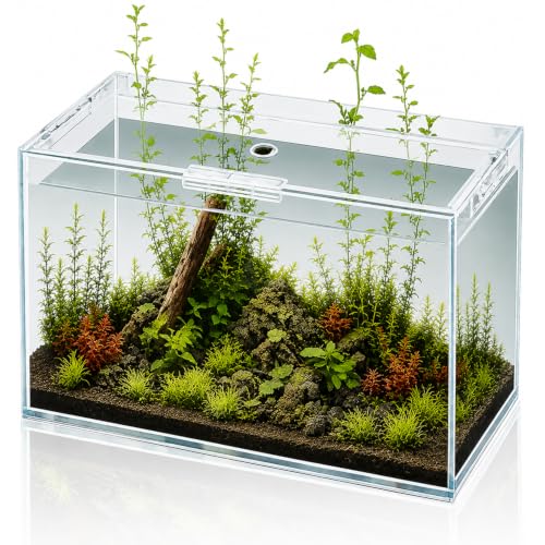 6 Gallon Glass Fish Tank 5 Gallon Open-Back Lid, Small Aquarium Fish Bowl Cube for Betta Goldfish Snails Shrimp Aquatic Planting, Ultra Clear Rimless Design Low Iron - color: Transparency, size: 6 Gallon