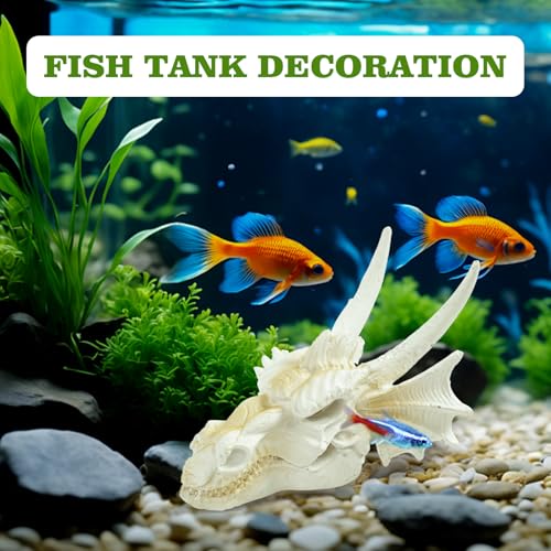 Dragon Skull Ornament for Aquarium Reptile Fish Tank Decorations Mini Betta Fish Tank Decor Accessories