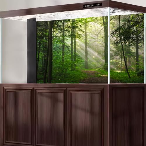 Sunrise Forest Aquarium Background Majestic Misty Morning Green Forests Fish Tank Background Scenic Tranquil Foggy Woodland Terrarium Backgrounds Green Meadow Plants Reptile Tank Backgrounds 36x18in