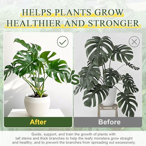 5PCS Monstera Plant Support, Metal Plant Supports Plant Stem Holder Durable Sturdy Plant Stabilizer for Indoor Plants Climbing Plants Outdoor Moss Pole Thriving Growth (Gold) - size: 5.9*5.9/5