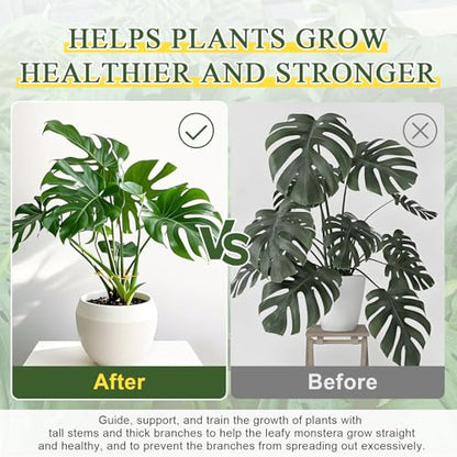 5PCS Monstera Plant Support, Metal Plant Supports Plant Stem Holder Durable Sturdy Plant Stabilizer for Indoor Plants Climbing Plants Outdoor Moss Pole Thriving Growth (Gold) - size: 5.9*5.9/5