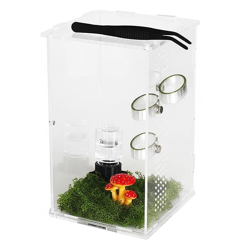 Jumping Spider Enclosure Accessories 3 Pcs Magnetic Feeding Bowl Set with Jumping Spider Feeding Tongs Removable Feeding Station Decor for Spider Terrarium