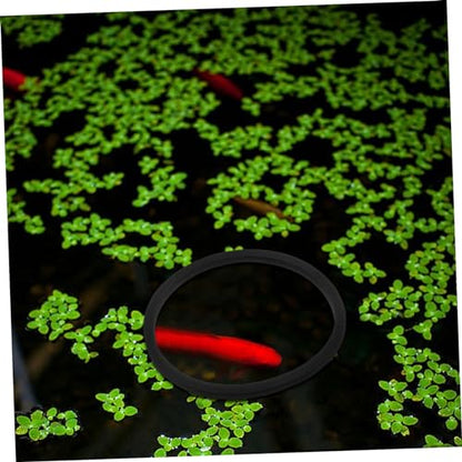 Happyyami 5pcs Fish Tank Grass Retaining Ring Fish Tanks Floating Plant Rings Floating Plants Rings Fish Feeder Fish Tank Plants Rings Aquarium Plant Holder Set Eva