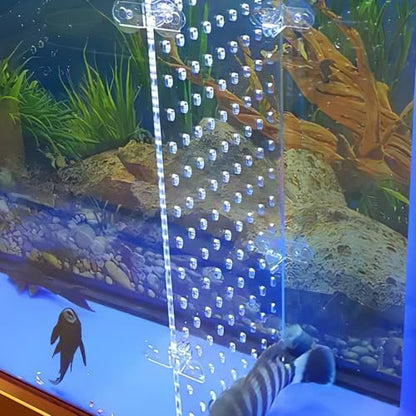 LALAFINA Acrylic Fish Tank Isolation Board with Suction Cups, Aquarium Divider Panel 25x30cm for Fish Breeding and Tank Separation