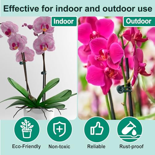 OIIKI 60pcs Orchid Clips for Plants Support, Plant Orchid Support Clips, Vine Tools Supports for Garden Climbing Stems Vines Climbing Plants- Dark Green