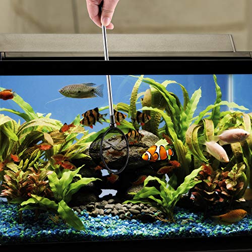 Aquarium Fish Net 3.5" Round Fish Net Extendable with 2 Units Coral Feeder Long Syringe 50 ML