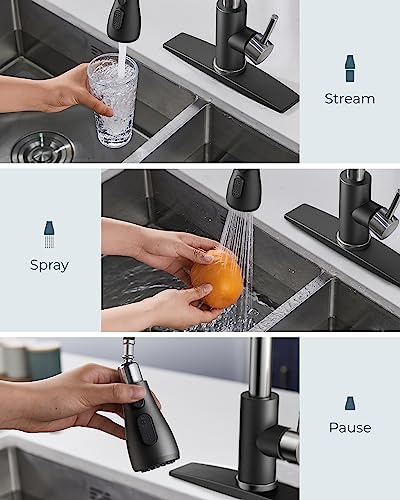 FORIOUS Kitchen Faucets with Pull Down Sprayer, High Arc Single Handle Classic Stainless Steel Sink Faucet 1 or 3 Hole, Suitable for Farmhouse Camper Laundry Rv Bar, Black Brushed - color: Black&Brushed, style: Classic