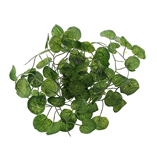 Aquarium Climbing Terrarium Plant Fish for Decoration Terrarium for Snake